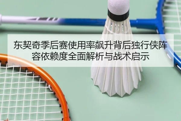 东契奇季后赛使用率飙升背后独行侠阵容依赖度全面解析与战术启示